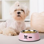 Personalized 2 in 1 Non-slip Outline Portrait Dog Food Water Bowl with Name Food-grade Stainless Steel Feeding Supplies Gift for Pet Lovers