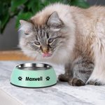Bol de Chats Chiens Personnalisé avec Nom Motif 2 en 1 Anti-dérapage Bol en Acier Inoxydable de Qualité Alimentaire Cadeau pour Amoureux des Animaux