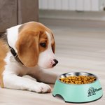 Personalized 2 in 1 Non-slip Outline Portrait Dog Food Water Bowl with Name Food-grade Stainless Steel Feeding Supplies Gift for Pet Lovers