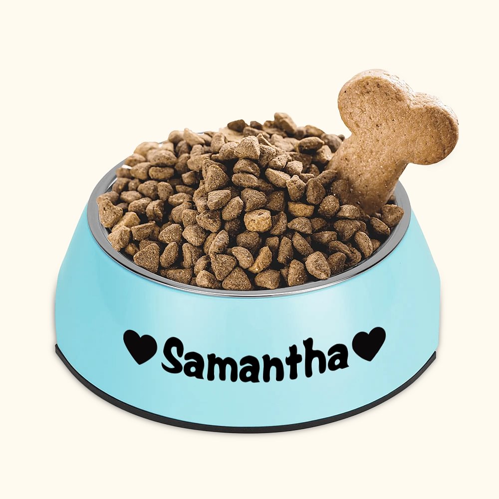 Bol de Chats Chiens Personnalisé avec Nom Motif 2 en 1 Anti-dérapage Bol en Acier Inoxydable de Qualité Alimentaire Cadeau pour Amoureux des Animaux