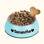 Bol de Chats Chiens Personnalisé avec Nom Motif 2 en 1 Anti-dérapage Bol en Acier Inoxydable de Qualité Alimentaire Cadeau pour Amoureux des Animaux