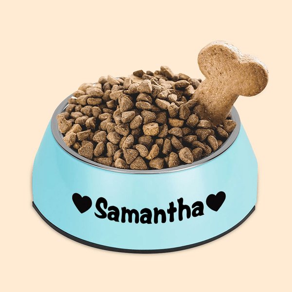 Bol de Chats Chiens Personnalisé avec Nom Motif 2 en 1 Anti-dérapage Bol en Acier Inoxydable de Qualité Alimentaire Cadeau pour Amoureux des Animaux