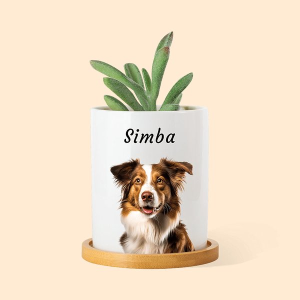 Gepersonaliseerde olieverfschilderij stijl huisdier portret foto keramische plantenpot met bamboe basis en naam verjaardag verjaardagscadeau voor huis