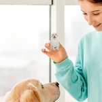 Personalisierte niedliche Haustier Porträt Acryl Pin Brosche Memorial Geburtstagsgeschenk für Tierliebhaber