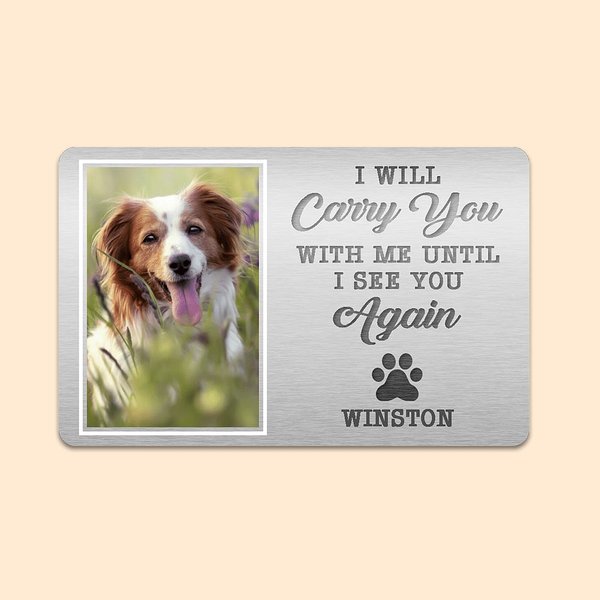 Personalizzato Ti porterò con me finché non ti vedrò di nuovo Cane Gatto Foto Portafoglio con nome Compleanno Regalo di simpatia per chi ama gli anima