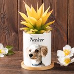 Personalized Oil Painting Style Pet Portrait Photo Ceramic Plant Pot with Bamboo Base and Name Birthday Anniversary Gift for Pet Lover