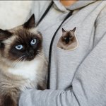 Personalisierte niedliche Haustier Porträt Acryl Pin Brosche Memorial Geburtstagsgeschenk für Tierliebhaber