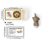 Personalizado Mi mascota Nutria En Una Caja Mini Otter Caja de cerillas con tarjeta de nombre Decoración de escritorio Novedad Apoyo emocional Regalo de cumpleaños para los amantes de la nutria