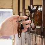 Personalized Horse Facial Marking Silhouette Acrylic Keychain with Text  and Tassel Equestrians Horse Riding Accessory Gift for Horse Lover