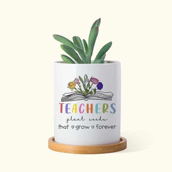 Personalized Teachers Plant Seeds 1-6 Birth Flowers Plant Pot with Beech Base Graduation Teacher's Day Gratitude Gift for Teachers