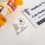 Personalised Withered Daisy Stethoscope ID Tag with Name Funny Nurses Week Graduation Gift for Doctor Nurse Medical Staff