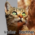 Personalisierte 900ml Aquarell Katze Hund Haustierporträt Flasche mit Namen Deckel Strohhalm Geburtstag Geschenk für Tierliebhaber