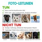 Personalisierte Weiche Fleecedecke mit Haustierporträt Pfoten Namen Abdruck Geburtstag Jahrestag Geschenk für Tierliebhaber