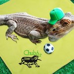 Gepersonaliseerde Baardagaam Zachte Warme Deken met Geborduurde Naam Reptielen Tank Accessoires voor Habitat Cadeau voor Hagedisliefhebber