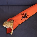 Gepersonaliseerde Baardagaam Zachte Warme Deken met Geborduurde Naam Reptielen Tank Accessoires voor Habitat Cadeau voor Hagedisliefhebber