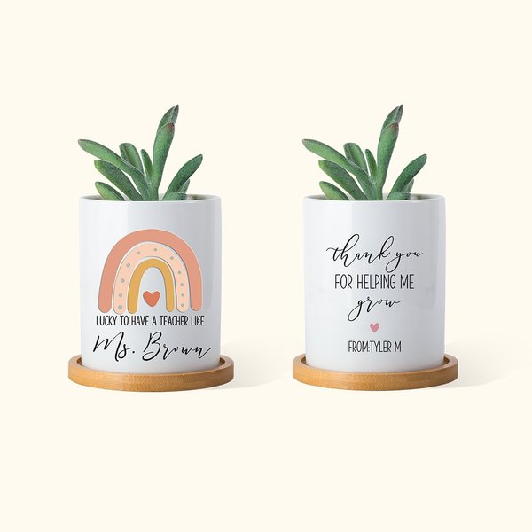 Lucky Teacher Rainbow Ceramics Plant Pot