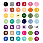 Personalized Multicolour Pet Medical Alert ID Tag with Text and Number Dog Cat Special Needs Birthday Gift for Pet Lovers