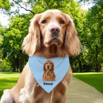 Personalized Multicolour Pet Portrait Photo Soft Pet Bandana with Name and Adjustable Buckle Birthday Pet Wear Gift for Pet Lover