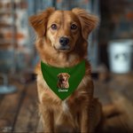 Personalized Multicolour Pet Portrait Photo Soft Pet Bandana with Name and Adjustable Buckle Birthday Pet Wear Gift for Pet Lover