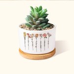 Personalized Birth Flower Ceramic Plant Pot with 1-16 Names and Bamboo Base Birthday Mother's Day Gift for Mom Grandma