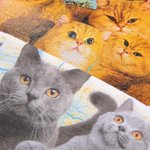 Henkilökohtainen Vintage 100% puuvillaa 1-8 lemmikkieläinten valokuvia Bootleg T-paita nimi syntymäpäivälahja lemmikkieläinten ystäville