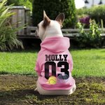 Personalized Multicolour Basketball Football Baseball Pullover Pet Dog Hoodie with Name Number Birthday Gift for Pet Lover Owner
