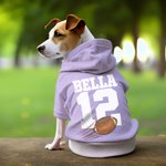 Personalized Multicolour Basketball Football Baseball Pullover Pet Dog Hoodie with Name Number Birthday Gift for Pet Lover Owner