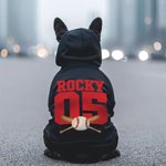 Personalized Multicolour Basketball Football Baseball Pullover Pet Dog Hoodie with Name Number Birthday Gift for Pet Lover Owner
