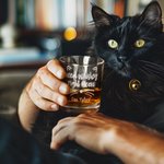 Personalized Need Whisky Right Meow Cute Cat 10oz Old Fashioned Whisky Rocks Glass with Engraved Name Birthday Party Gift for Cat Lovers