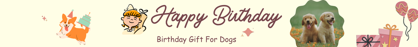 Birthday Gift For Dogs