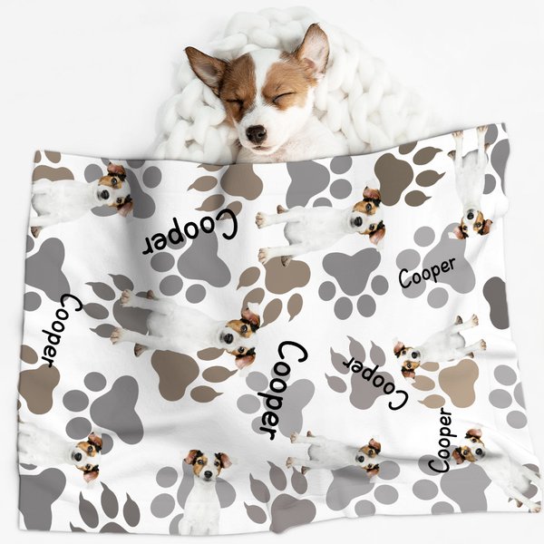 Personalized Cat Dog Pet Photo Paw Print Soft Pet Throw Blanket with Name Birthday Home Decoration Gift for Pet Lover