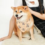 Personalised Multi-color Pet Portrait Reversible Bandana with Adjustable Buckle and Name Birthday Pet Wear Gift for Dog Cat Pet Lovers