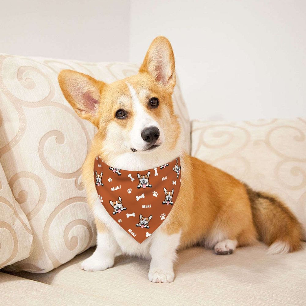 Bandana Réversible avec Boucle Ajustable Personnalisé de Nom Cadeau d'Anniversaire pour Amoureux des Animaux de Compagnie Chien Chat