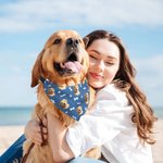 Personalized Multicolour Paw Print Bone Adjustable Pet Bandana with Photo and Name Birthday Party Costume Gift for Pet Lovers