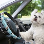 Personalized Multicolour 1-3 Pet Portrait Anti-Slip Car Steering Wheel Cover with Paw Bone Design Car Accessories Birthday Gift for Car Owner