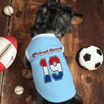 Personalised National Flag Element 100% Cotton Dog Shirt Waistcoat with Name and Number Game Day Costume Birthday Party Gift for Pet Lovers