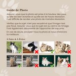Coussin personnalisé avec photo d'animal de compagnie et nom Cadeau de sympathie pour les amoureux des chats et des chiens