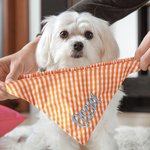 Personalised Gingham Print  Triangle 100% Cotton Pet Bandana with Embroidered Name and Elastic Birthday Party Costume Gift for Dog Cat Lovers