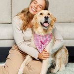 Personalised Gingham Print  Triangle 100% Cotton Pet Bandana with Embroidered Name and Elastic Birthday Party Costume Gift for Dog Cat Lovers