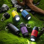 Gepersonaliseerde Mini LED USB Oplaadbare Zaklamp Sleutelhanger met Gegraveerde Naam Verjaardagscadeau voor Reisliefhebber