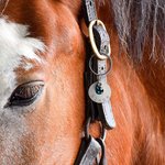 Personalised Horse Saddle and Bridle Aluminum Charm with Engraved Name and Gemstone Lightweight Horse Riding Accessories Gift for Horse Lovers