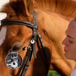 Personalised Horse Saddle and Bridle Aluminum Charm with Engraved Name and Gemstone Lightweight Horse Riding Accessories Gift for Horse Lovers