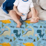 Personalized Cartoon Dinosaur Themed Warm Soft Throw Blanket with Name Birthday Baby Shower Gift for Boys Baby