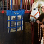 Support durable et personnalisé pour ventilateur de chèvre et de cheval avec nom et sangle ajustable pour ventilateur 20x20