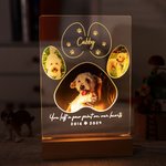 Veilleuse LED personnalisée avec socle en bois pour animaux de compagnie Cadeau de sympathie pour les amoureux des chats, des chiens et des animaux de