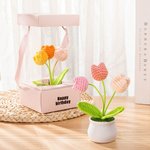 Personalized Handmade Crochet Tulips Potted Plant with Text and Gift Box Desk Decor Birthday Appreciation Gift for Teacher Mother