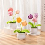 Personalized Handmade Crochet Tulips Potted Plant with Text and Gift Box Desk Decor Birthday Appreciation Gift for Teacher Mother