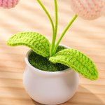 Personalized Handmade Crochet Tulips Potted Plant with Text and Gift Box Desk Decor Birthday Appreciation Gift for Teacher Mother