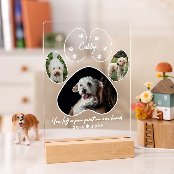 Veilleuse LED personnalisée avec socle en bois pour animaux de compagnie Cadeau de sympathie pour les amoureux des chats, des chiens et des animaux de