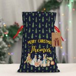 Personalisierte Weihnachten Santa Sack Peter Rabbit Geschenk Tasche